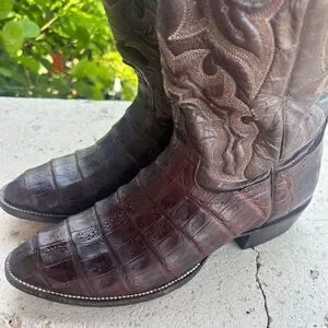 Circle G | Shoes | Circle G 95d Caiman Belly Almond Toe  display picture 3